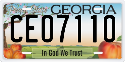 GA license plate CEO7110