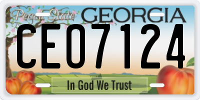GA license plate CEO7124