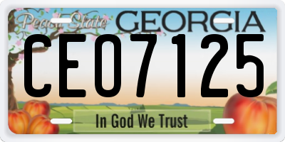 GA license plate CEO7125