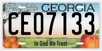 GA license plate CEO7133