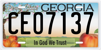 GA license plate CEO7137