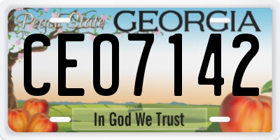 GA license plate CEO7142