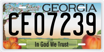 GA license plate CEO7239