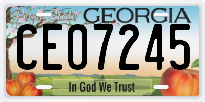 GA license plate CEO7245