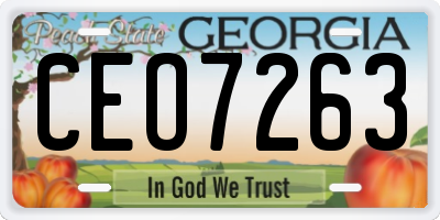 GA license plate CEO7263