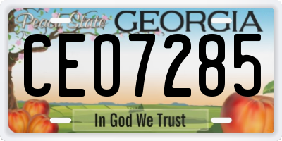 GA license plate CEO7285