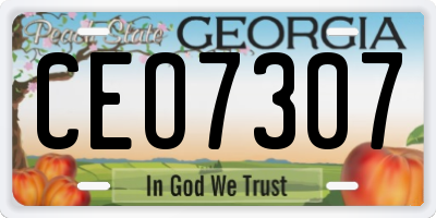 GA license plate CEO7307
