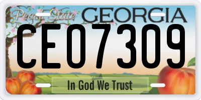 GA license plate CEO7309