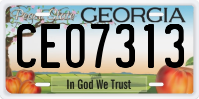 GA license plate CEO7313
