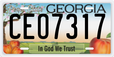 GA license plate CEO7317