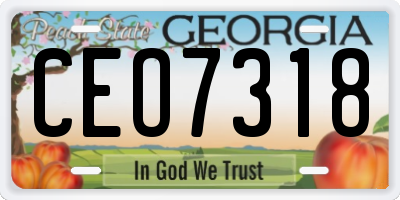 GA license plate CEO7318