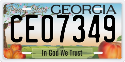 GA license plate CEO7349