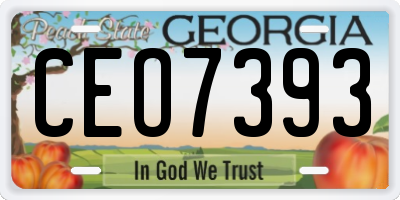 GA license plate CEO7393