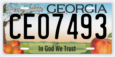GA license plate CEO7493