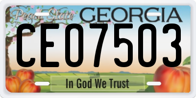 GA license plate CEO7503