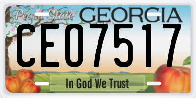GA license plate CEO7517