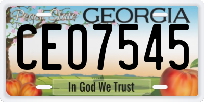 GA license plate CEO7545
