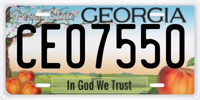 GA license plate CEO7550