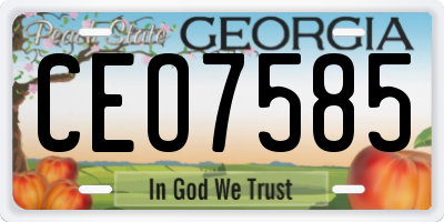 GA license plate CEO7585