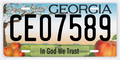 GA license plate CEO7589