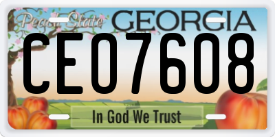 GA license plate CEO7608
