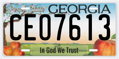 GA license plate CEO7613