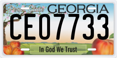 GA license plate CEO7733