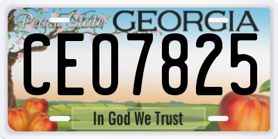 GA license plate CEO7825
