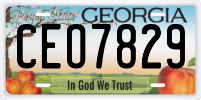 GA license plate CEO7829