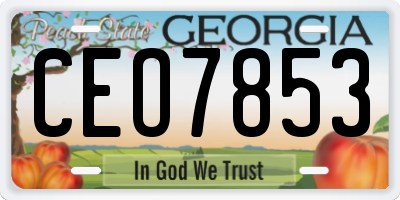 GA license plate CEO7853
