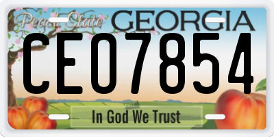 GA license plate CEO7854