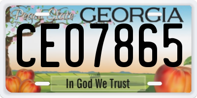 GA license plate CEO7865