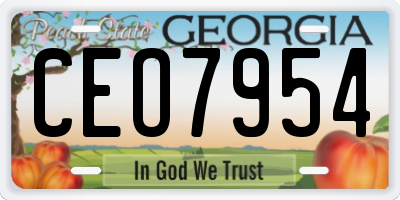 GA license plate CEO7954