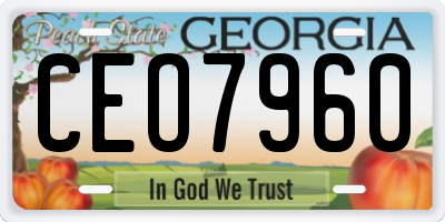 GA license plate CEO7960