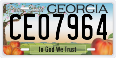 GA license plate CEO7964