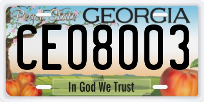 GA license plate CEO8003