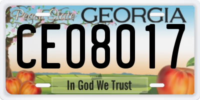 GA license plate CEO8017