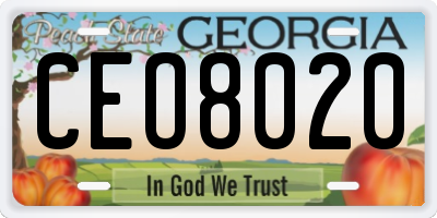 GA license plate CEO8020