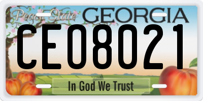 GA license plate CEO8021