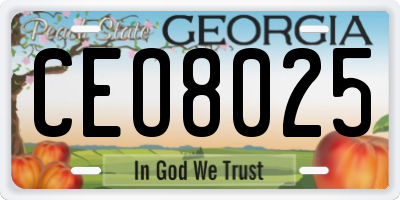 GA license plate CEO8025