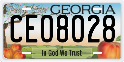 GA license plate CEO8028