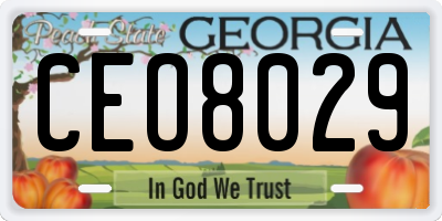 GA license plate CEO8029