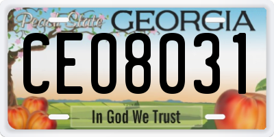 GA license plate CEO8031