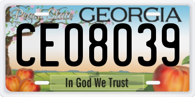 GA license plate CEO8039