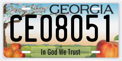 GA license plate CEO8051