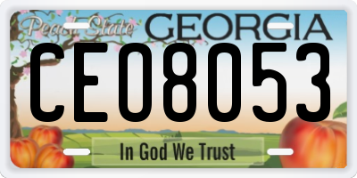 GA license plate CEO8053