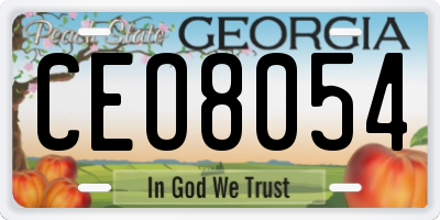GA license plate CEO8054