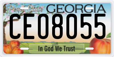 GA license plate CEO8055