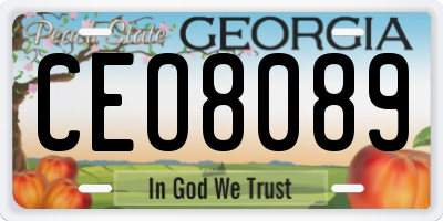 GA license plate CEO8089