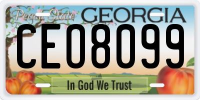 GA license plate CEO8099